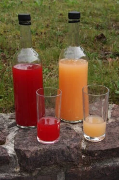 Rosette® Malus Domestica -Obstbaum Geschäft Rosette Saft