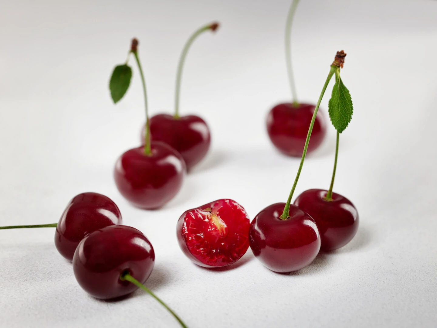 Achat Ⓢ Prunus Cerasus `Achat´ 6 Achat Ⓢ Prunus Cerasus `Achat´ - Image 6