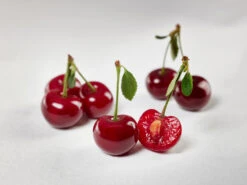 Safir ® Prunus Cerasus `Safir´ -Obstbaum Geschäft sauerkirsche safir glCz99JjQsQ3RC