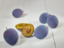 Hanita ® Prunus Domestica `Hanita -Obstbaum Geschäft zwetschge hanita g